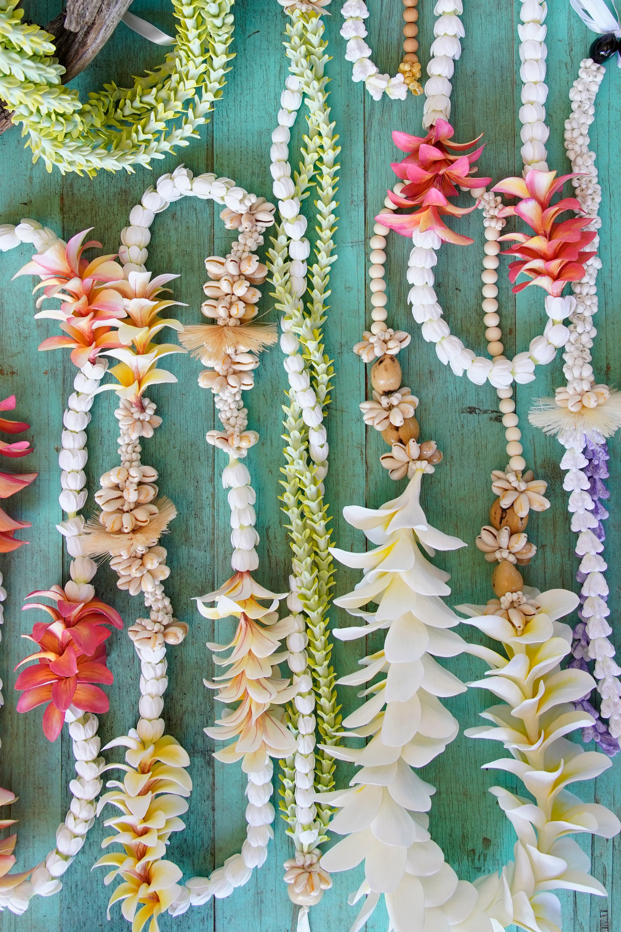 Flowers – bydeco.co